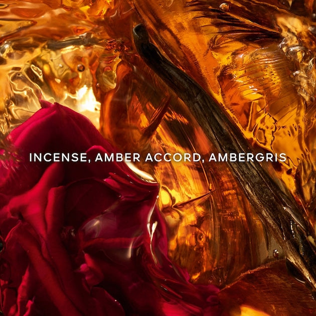 ABSOLUS ALLEGORIA AMBRE SAMAR