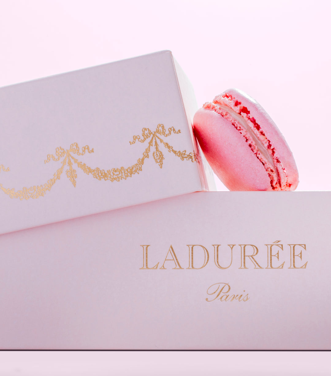 COFFRET DE 15 MACARONS "INTEMPOREL" - ROSE